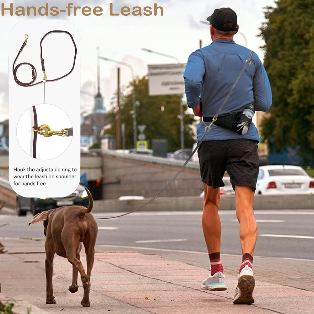 Multi Function Leather Dog Lea - đánh giá và giá Leather Strap Quick Release